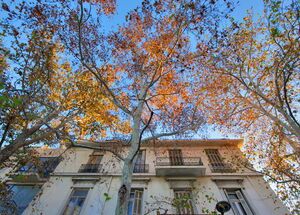 Strolling in Aeropagitou street, Athens
