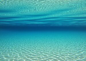 Under the sea of Mykonos island in the Cyclades