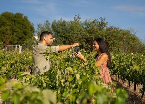 Enjoy a wine-growing tradition in Nemea that feels like it was gifted by the gods