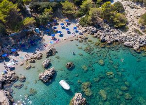 Anthony Quinn Bay