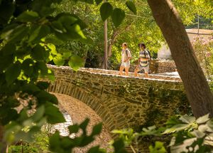 The arched bridges of Moustheni were built by master stonemasons