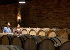 A tour of the cellar of a winery near Kavala