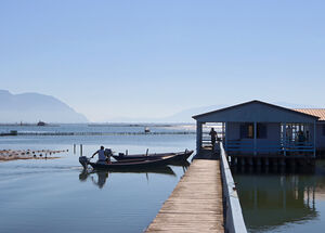 Messolongi harbour