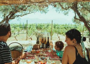 The Vineyard Picnic Experience by Lyrarakis winery