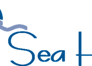 BLUESEAH-logo
