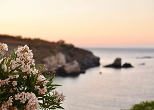 ELEFTHIA-photo-0