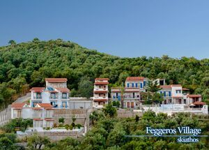 FENGAROSST-photo-0