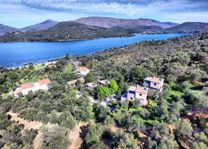 OLIVEGROVE-photo-0