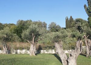 STABLO-photo-0