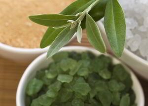 Aromatherapy spa