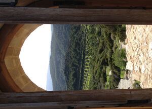 Accessible Tour in Rhodes: Kamiros and wine region of Embona