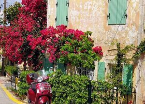 3-hour-vespa-scooter-tours-local-villages-off-the-beaten-path-logo