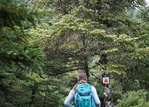 ath24-private-tour-to-parnitha-and-mpafi-refuge-half-day-logo