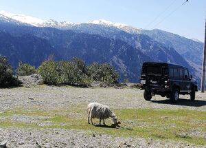 chania-tour-1-explore-the-white-mountains-of-crete-logo