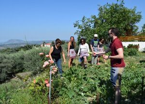 cooking-lessons-in-chania-the-real-cretan-cooking-experience-logo