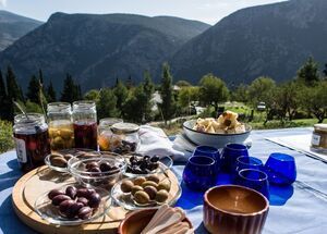 delphi-ancient-olive-grove-tasting-workshop-logo