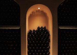 drama-symposium-premium-wine-experience-logo