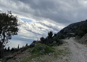 efl01kefalonia-ainos-premium-4x4-van-experience-scenic-peaks-forest-trails-1-logo