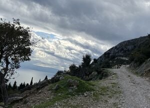 efl01kefalonia-ainos-premium-4x4-van-experience-scenic-peaks-forest-trails-1-logo