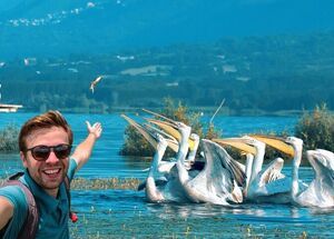 from-thessaloniki-day-trip-to-kerkini-lake-logo