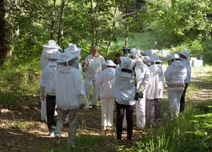 from-thessaloniki-gastronomic-trip-to-halkidiki-logo