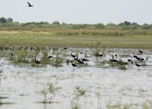 from-thessaloniki-private-day-trip-to-evros-delta-logo