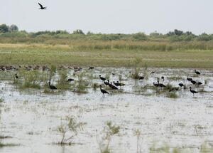 from-thessaloniki-private-day-trip-to-evros-delta-logo