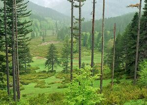 from-thessaloniki-private-day-trip-to-grevena-and-valia-calda-logo