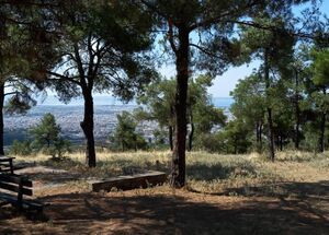 from-thessaloniki-seih-sou-forest-hikinng-and-picnic-logo