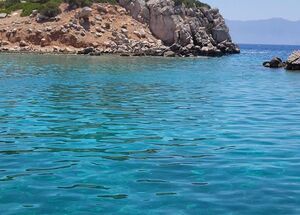 full-day-private-boat-tour-on-a-fairline50-logo