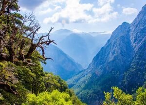 hike-the-second-most-famous-gorge-in-chania-with-our-local-mountain-guide-explore-nature-and-learn-about-the-cretan-flora-fauna-1-logo