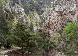 hike-the-second-most-famous-gorge-in-chania-with-our-local-mountain-guide-explore-nature-and-learn-about-the-cretan-flora-fauna-logo