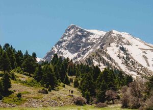 kalavryta-hike-to-the-summit-of-mt-chelmos-logo