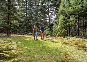 mt-parnassos-national-park-hike-mt-parnassos-national-park-hike-logo