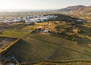 naxos-mainland-delicacy-discovery-logo