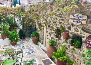 naxos-northern-beaty-wild-delicious-logo