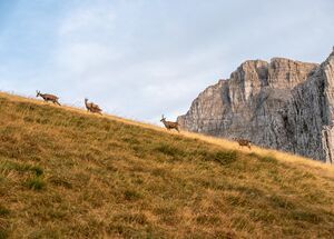 north-greece-hike-8-days-logo