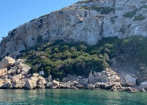 private-boat-tour-in-patmos-nearby-islands-custom-experience-1-1-1-logo