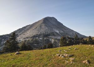 private-guided-dirfys-mt-trail-hiking-logo