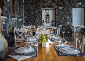 private-island-tour-with-lunch-at-a-famous-winery-logo