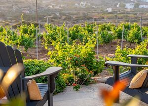 private-wine-moments-logo