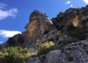 rethymnon-tour-2-explore-the-secrets-of-wine-and-olives-logo