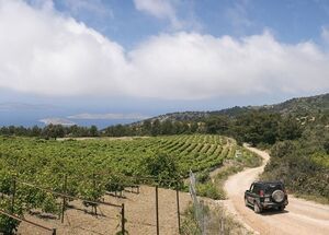 rho01-explore-more-in-rhodes-north-route-logo