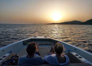 sunset-or-short-private-cruise-on-a-wallyone-44-ft-logo