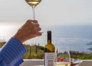 syros-explore-villages-taste-local-wine-logo