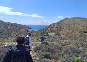 syros-hiking-exploration-in-the-untouched-apano-meria-natura-2000-landscape-logo
