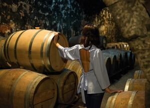 the-cretan-wine-cheese-experience-winery-cheese-factory-tour-logo