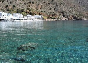 the-famous-elafonisi-beach-logo