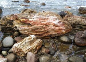 the-lava-paths-tour-sigri-eressos-in-lesvos-logo