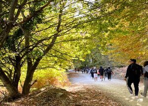 thessaloniki-hiking-the-ice-makers-trail-logo